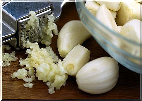 garlic