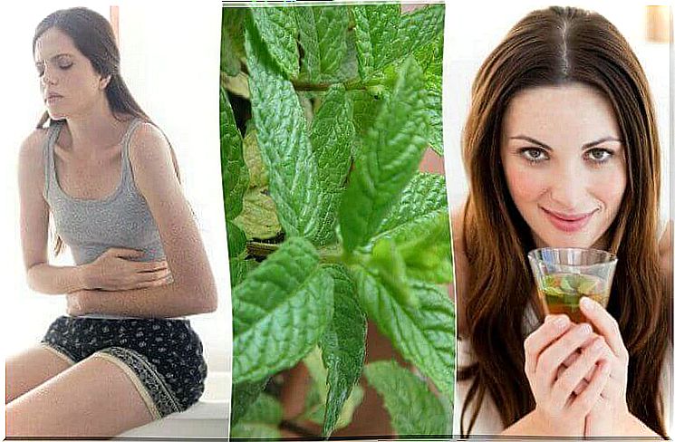 5 home remedies with mint