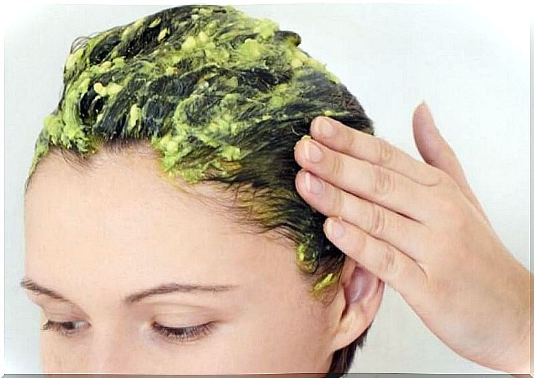 Hair mask with avocado