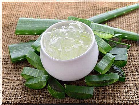 Aloe Vera - dark circles and bags under the eyes