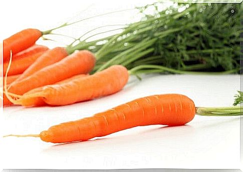 carrot