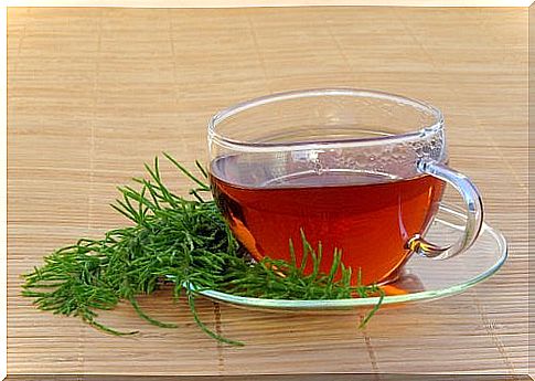 Cup horsetail tea water retention