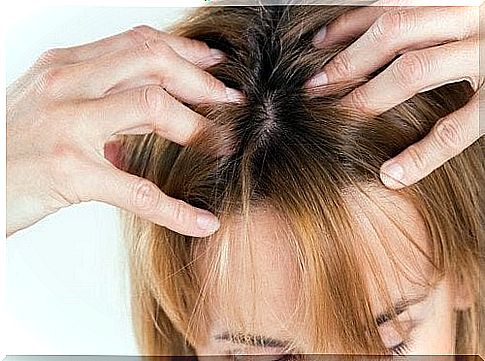 Avoid hair loss by massaging the scalp 