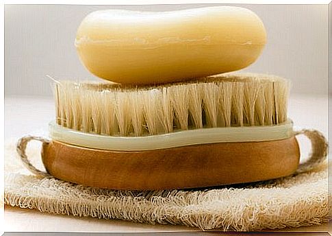 Avoid hair loss with daily brushing