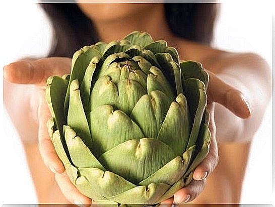 artichoke 