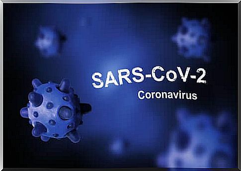 Coronavirus: origin and fight against SARS-CoV-2