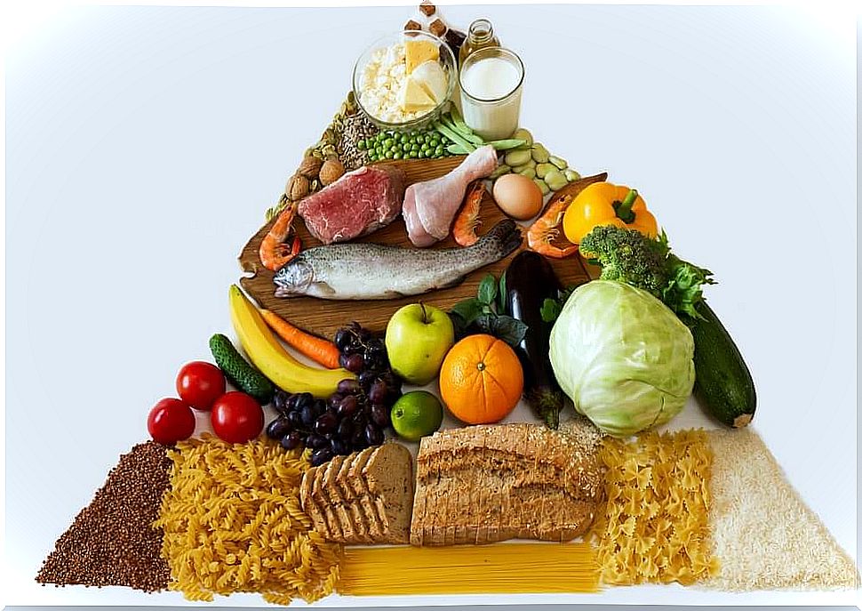 Discover the new food pyramid for healthy eating