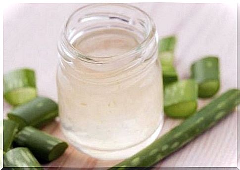 Natural Remedy For Gastritis: Aloe Vera