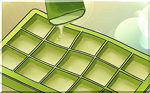 Freezing aloe vera: discover the benefits!