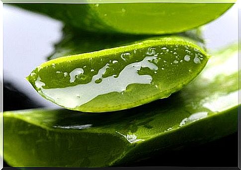 Health benefits of aloe vera