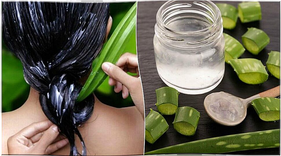 Hair care with aloe vera