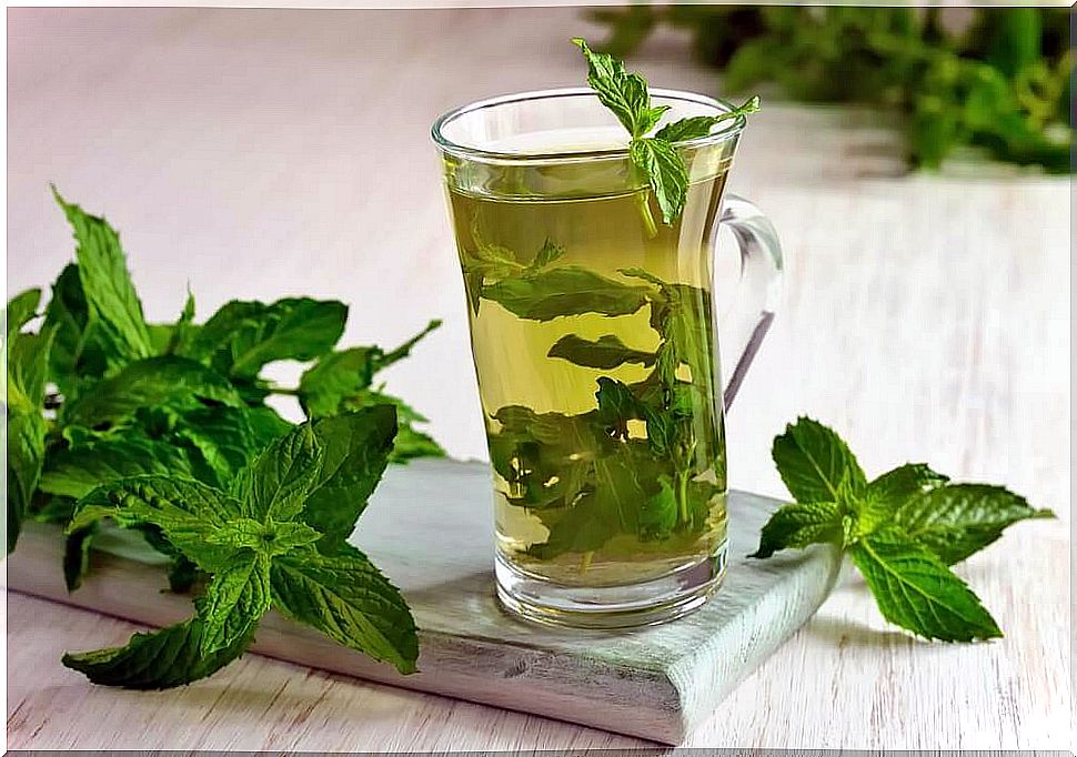 Mint tea as a remedy for nausea