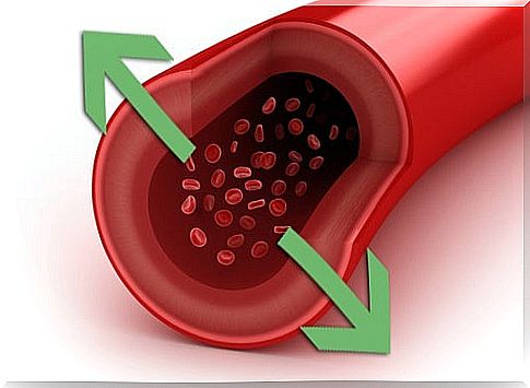 Hypertension and Renal Failure - Care Tips