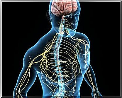 Interesting facts about Horner syndrome