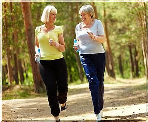 Women walk briskly in the forest