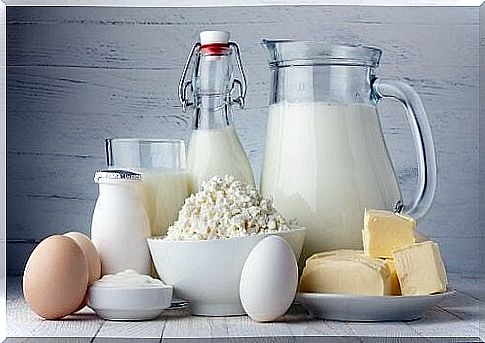 intestinal healthy diet with dairy products?