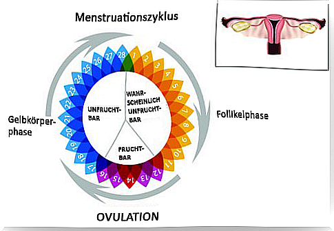 Irregular Menstruation - Why?