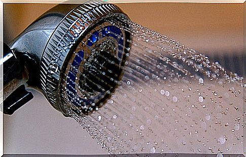 Shower head