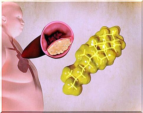 Lipids and triglycerides as energy reserves