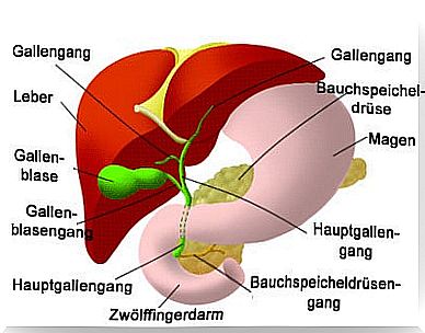 Taking care of the pancreas