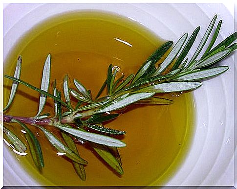 Rosemary for the care of the pancreas