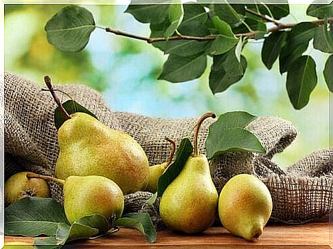 fresh pears