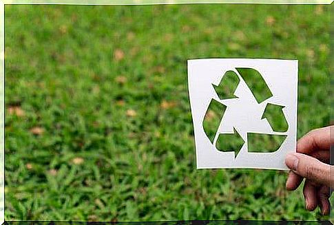 Recyclable things to protect the environment