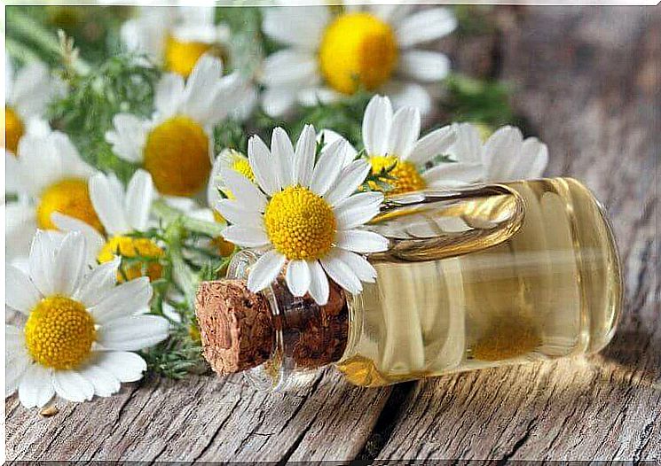 Chamomile helps against stressed feet