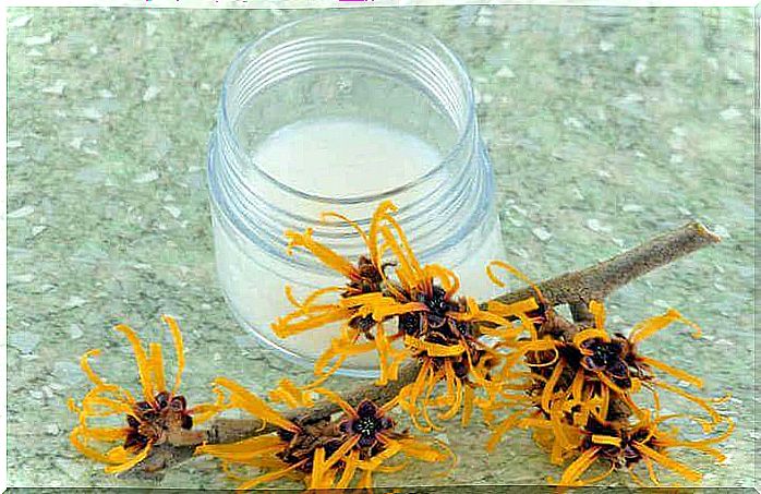 Witch hazel helps against stressed feet