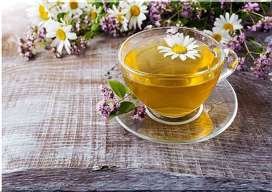 Chamomile for dry eye syndrome