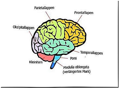 This is how our brain works