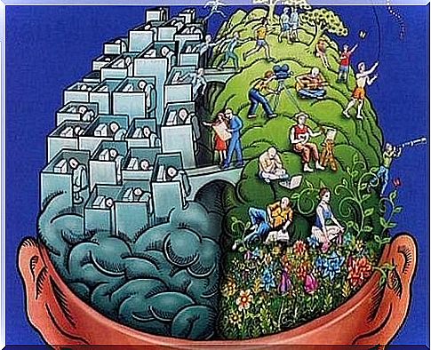 Illustration of the two hemispheres of the brain