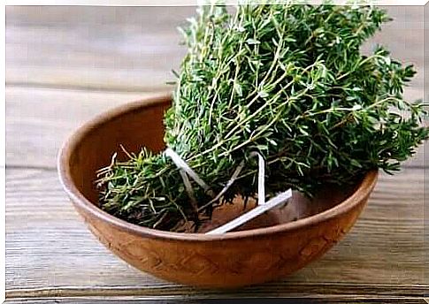 Use thyme to fight bronchitis